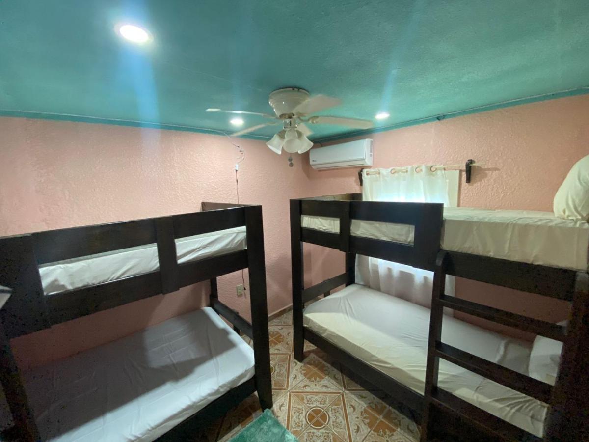 Forest View Apartment Six Huts Dış mekan fotoğraf