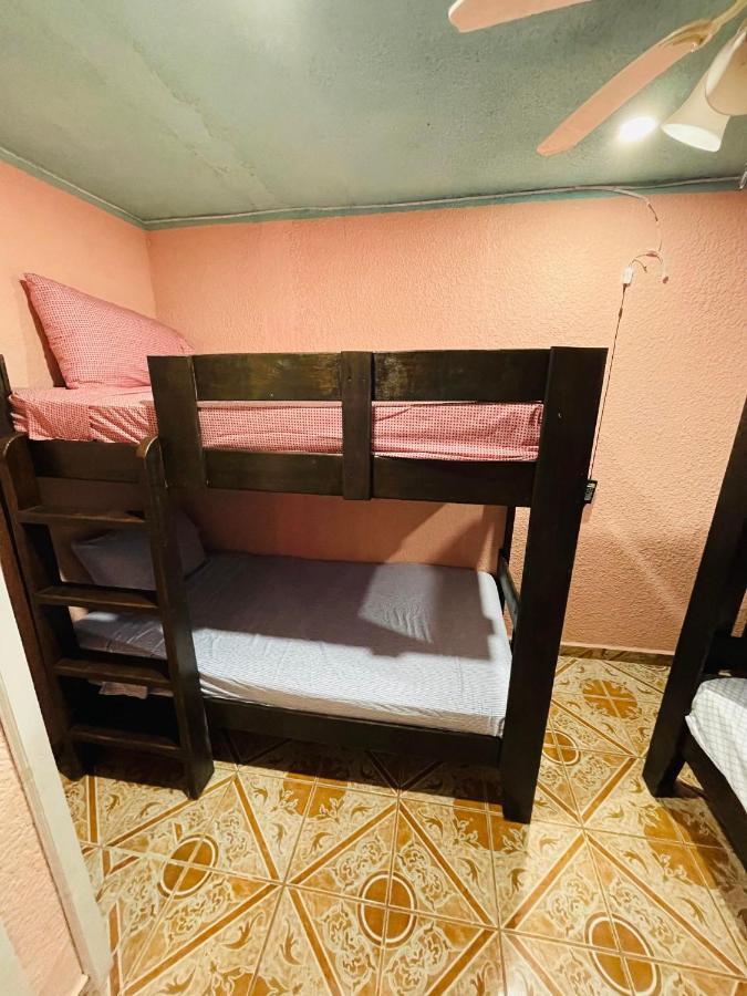 Forest View Apartment Six Huts Dış mekan fotoğraf
